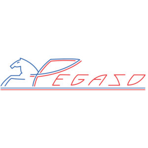 Pegaso logo square